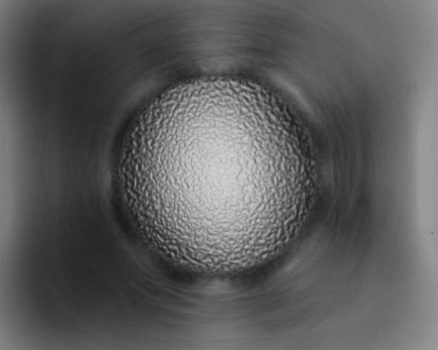X0000094330687200711161950
