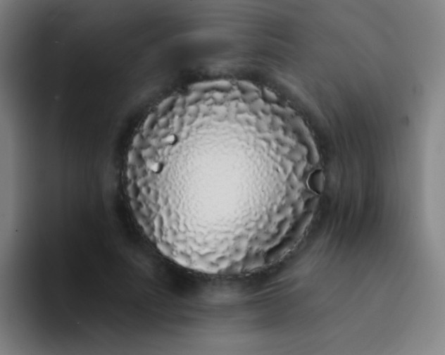 X0000094330691200711161950