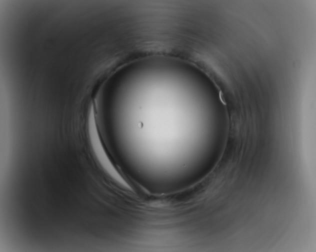 X0000094330692200711161950