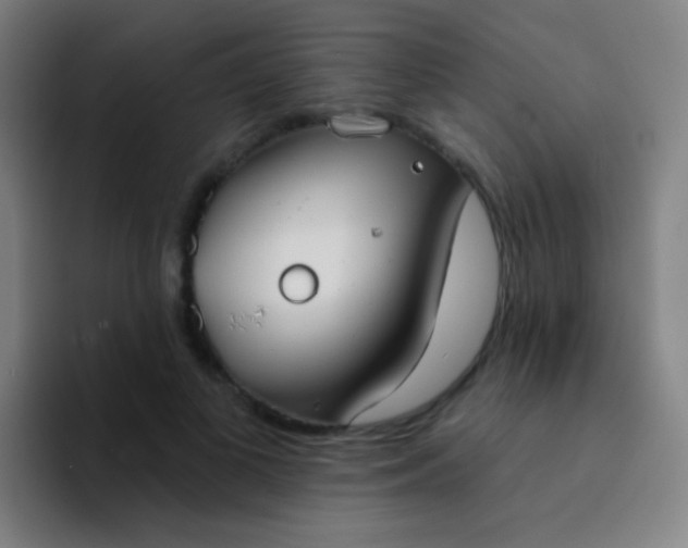 X0000094330693200711161950