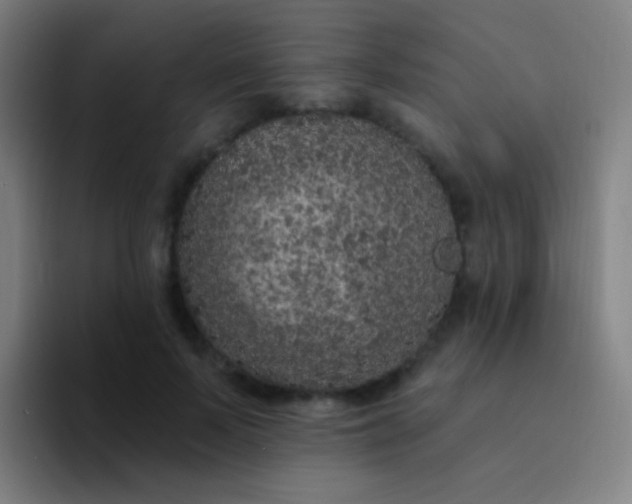 X0000094330695200711161950