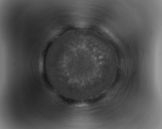 X0000094330696200711161950