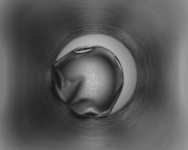 X0000094330697200711161950