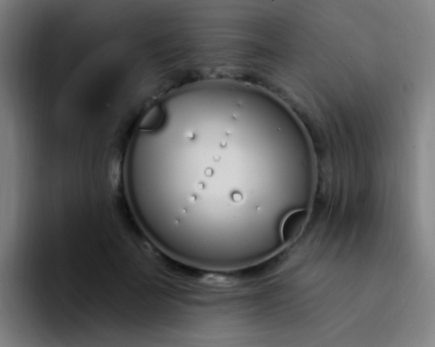 X0000094330699200711161950