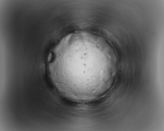 X0000094330703200711161950