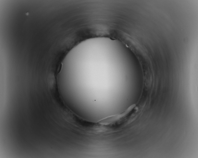X0000094330704200711161950