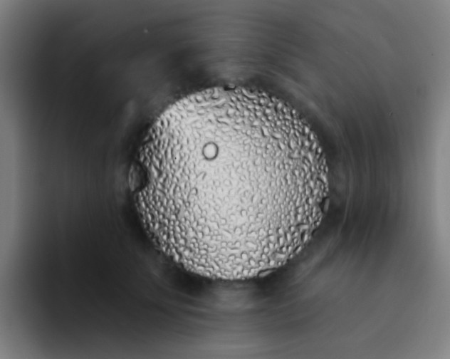 X0000094330707200711161950