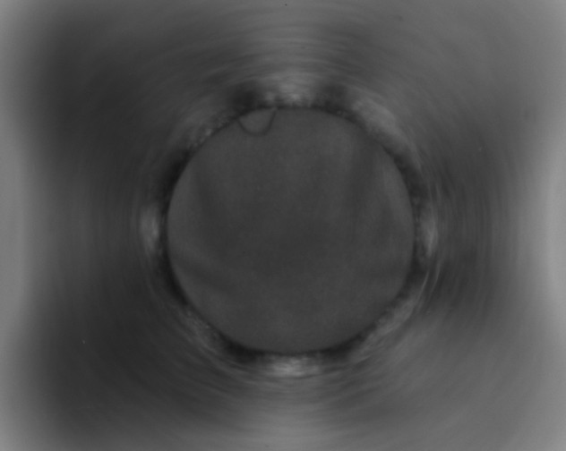 X0000094330709200711161950