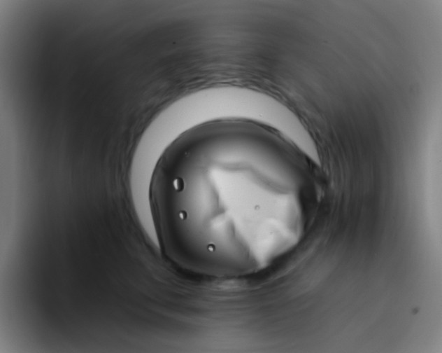 X0000094330711200711161950