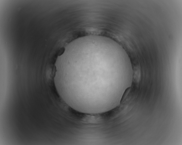 X0000094330713200711161950