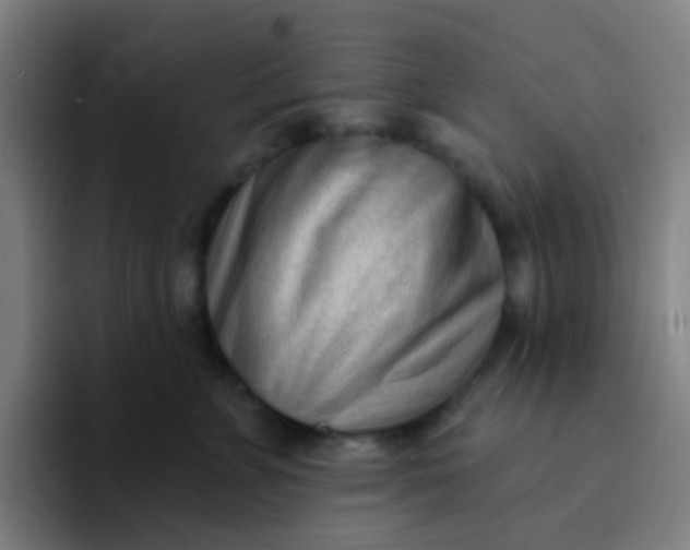 X0000094330715200711161950