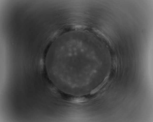 X0000094330716200711161950