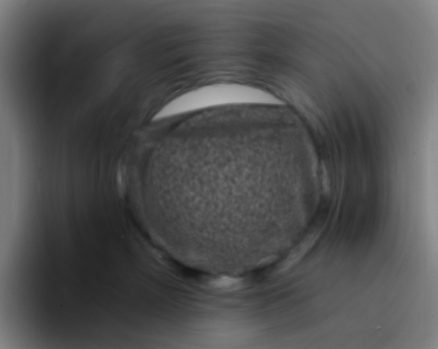X0000094330718200711161950
