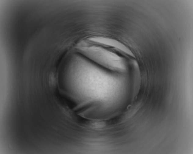 X0000094330719200711161950