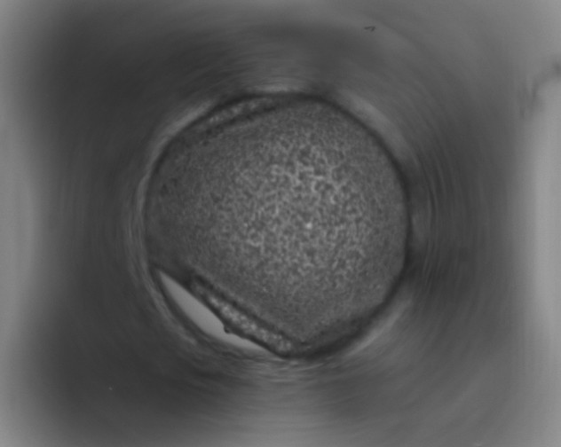 X0000094330721200711161949