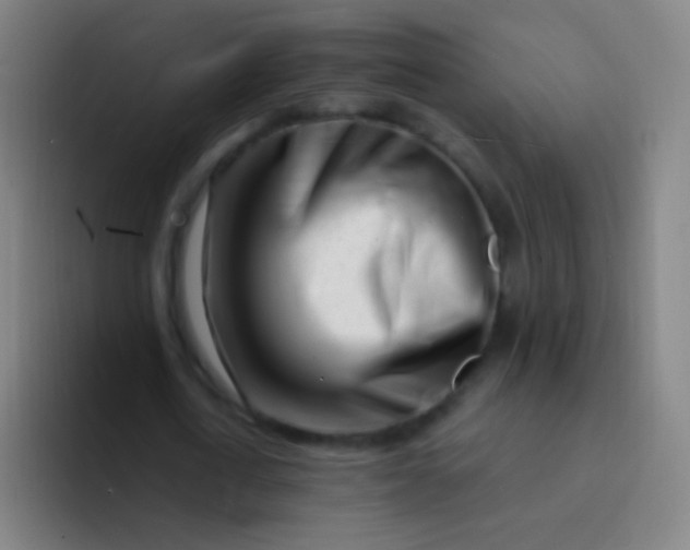 X0000094330722200711161949