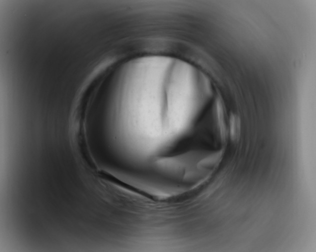X0000094330723200711161949