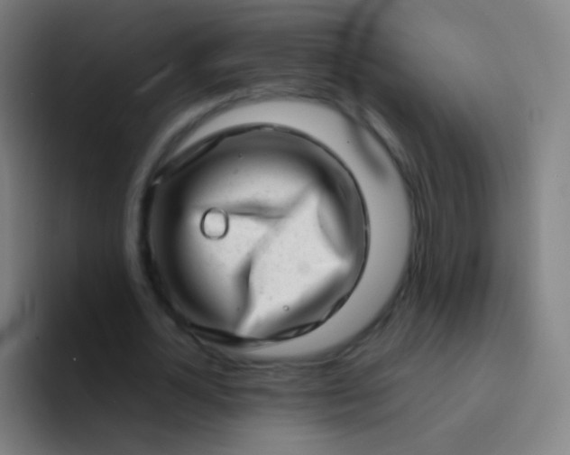 X0000094330724200711161949