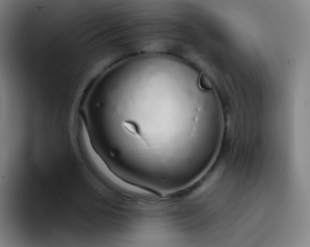X0000094330725200711161949