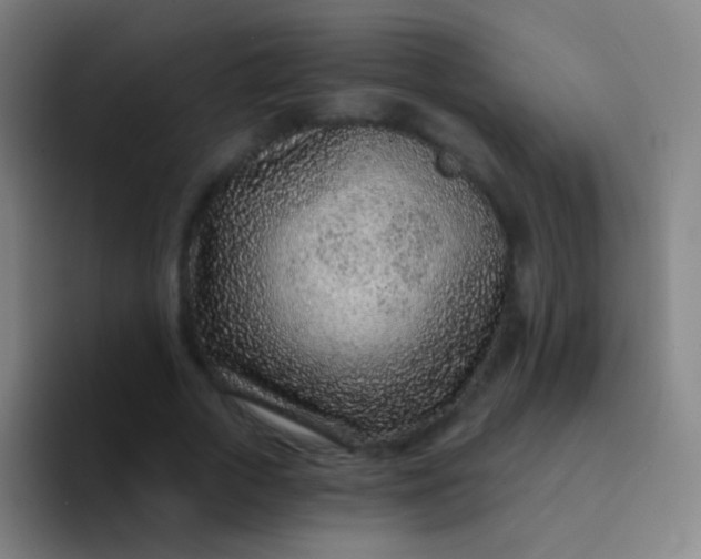 X0000094330729200711161949
