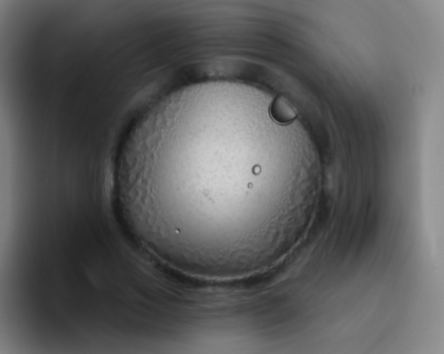 X0000094330733200711161949