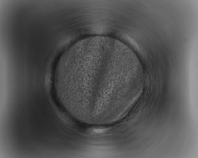X0000094330736200711161949