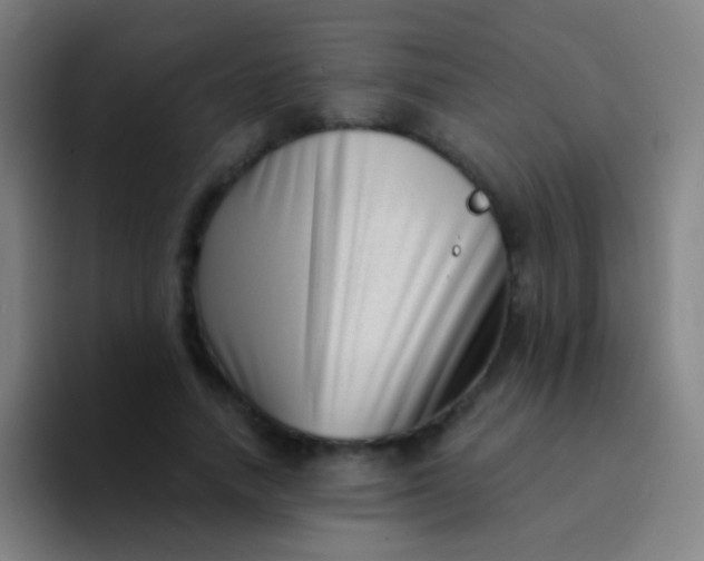 X0000094330738200711161949