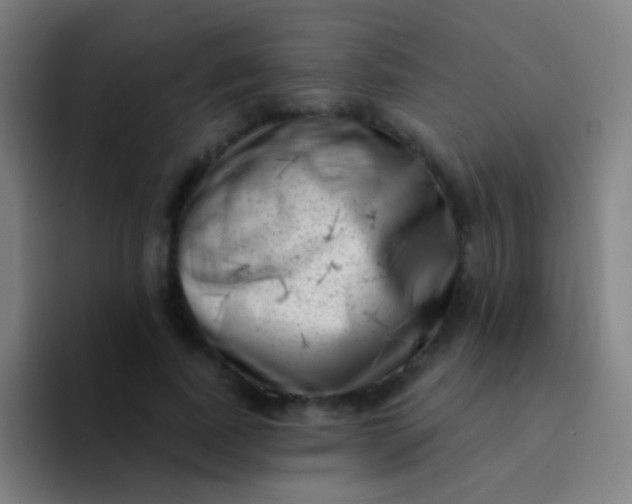 X0000094330739200711161949