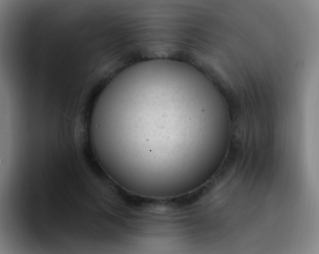 X0000094330743200711161949