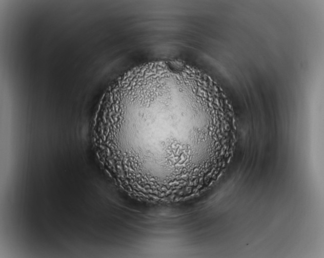 X0000094330745200711161949