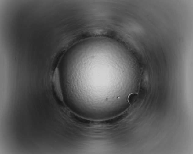X0000094330746200711161949