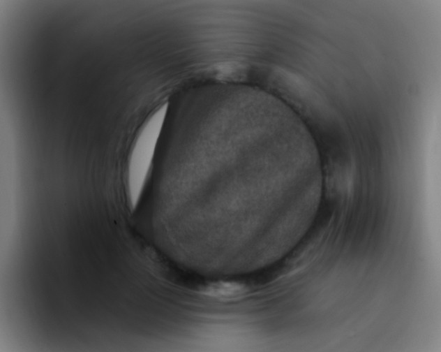 X0000094330748200711161949