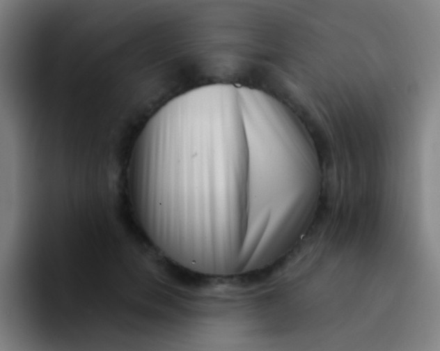 X0000094330750200711161949