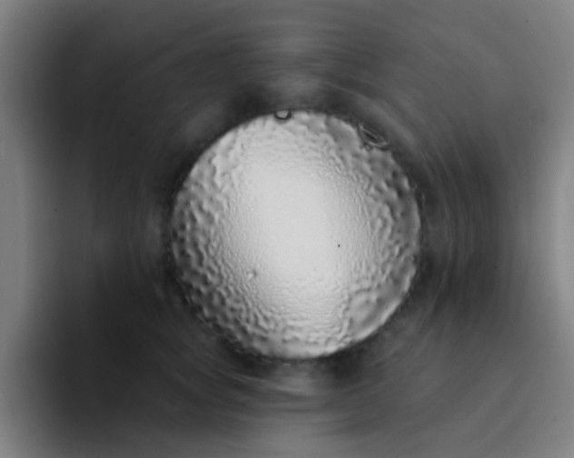 X0000094330757200711161949