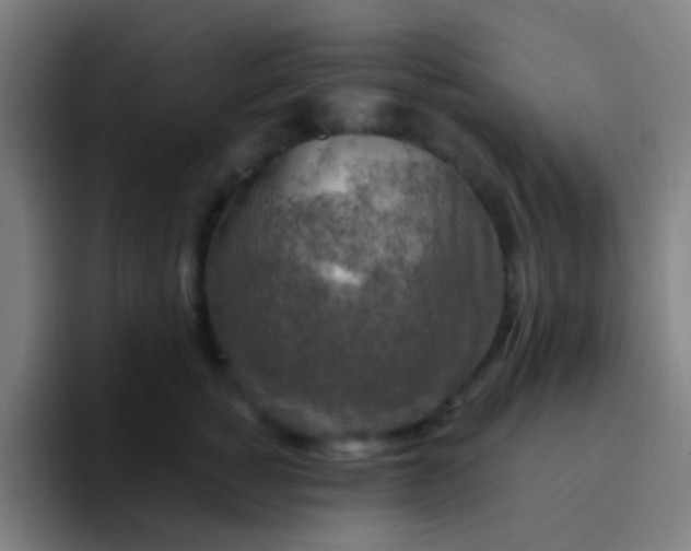 X0000094330760200711161949