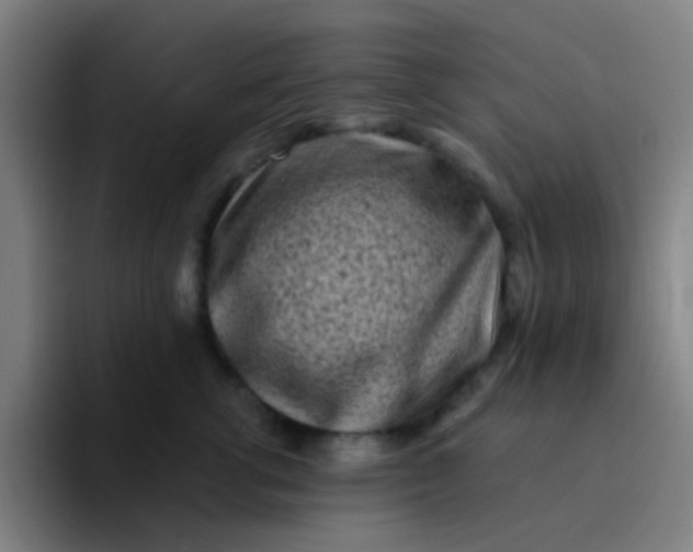 X0000094330762200711161949