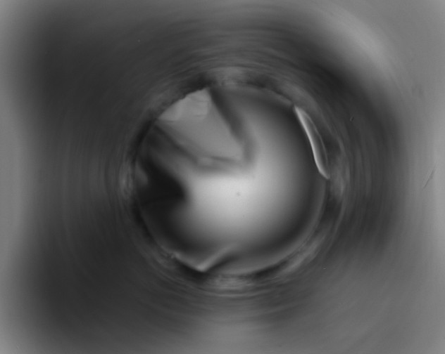X0000094330766200711161950
