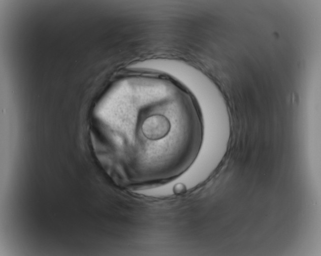 X0000094330769200711161949