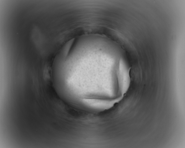 X0000094330770200711161949