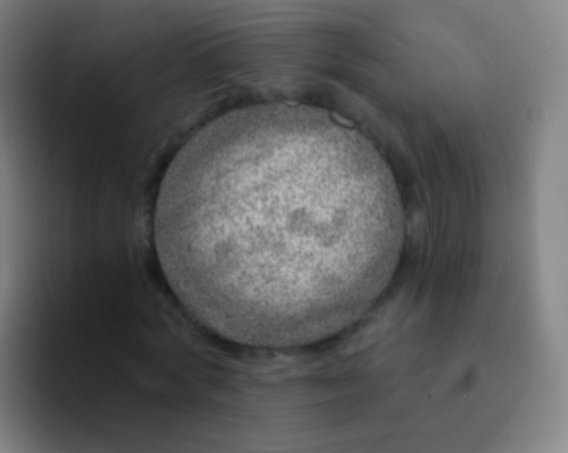 X0000094330772200711161949