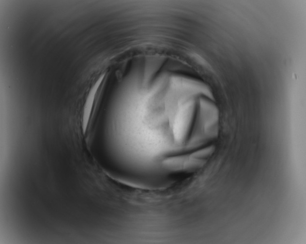 X0000094330774200711161949