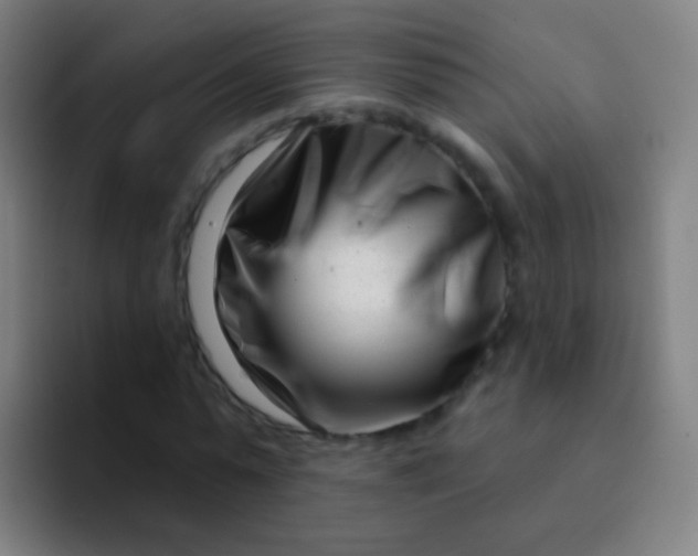 X0000094330775200711161949