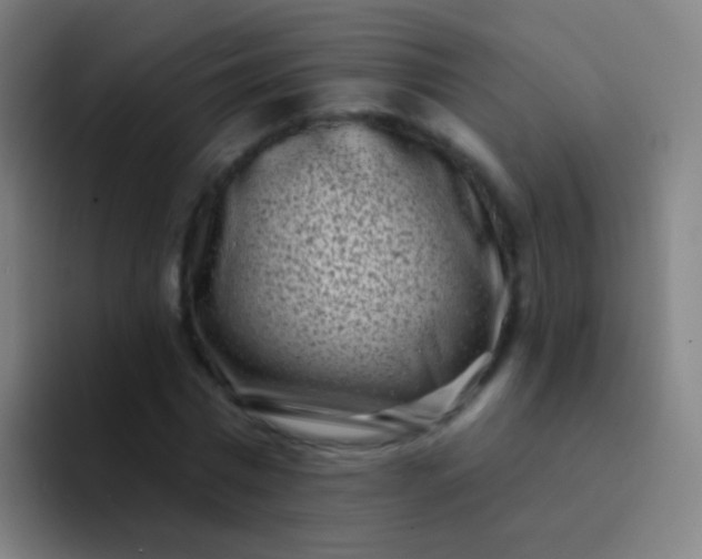 X0000094330777200711161949