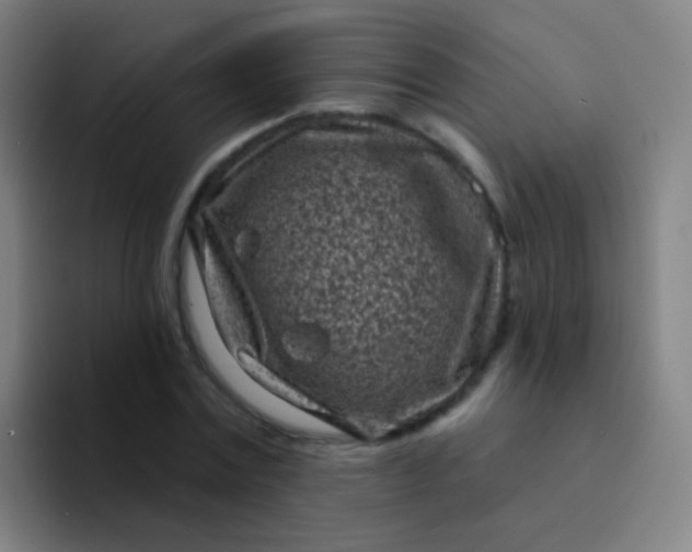 X0000094330779200711161949