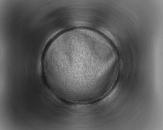 X0000094330782200711161949
