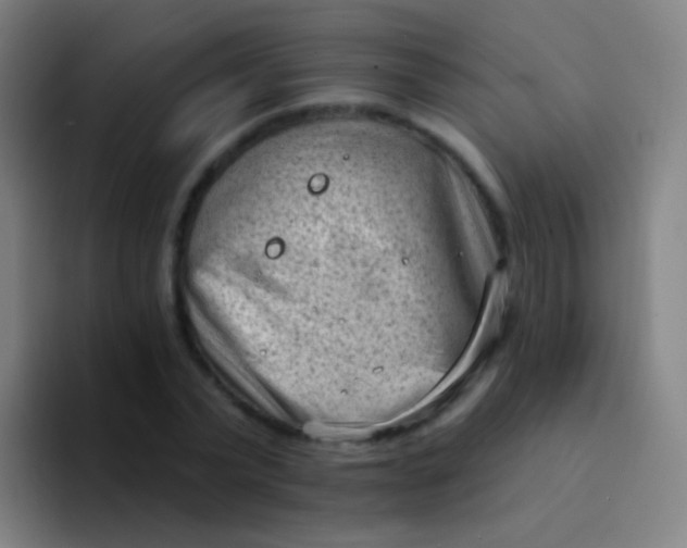 X0000094330783200711161949