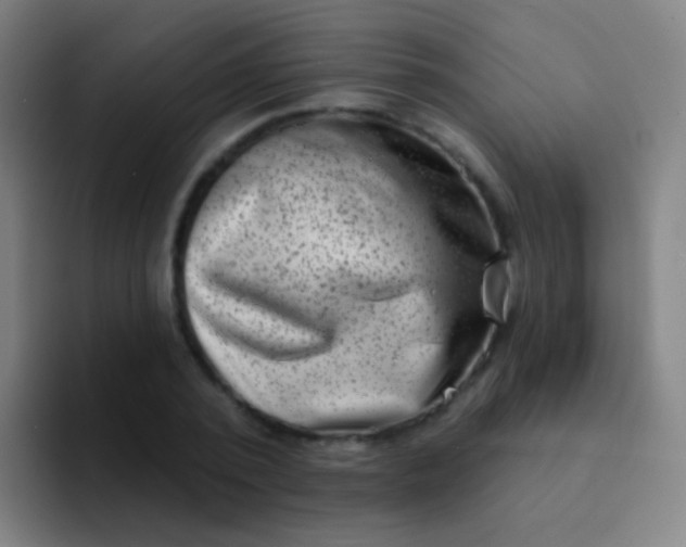 X0000094330784200711161949