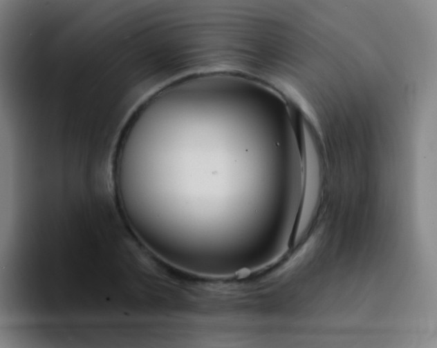X0000094330789200711161949