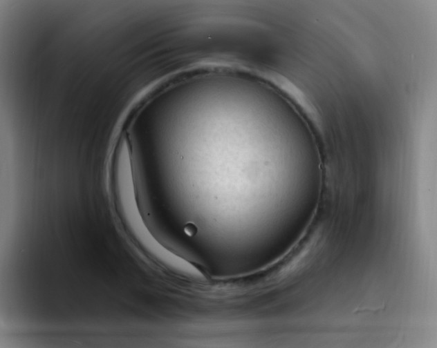 X0000094330791200711161949