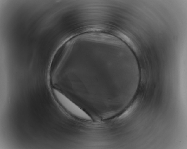 X0000094330802200711161949
